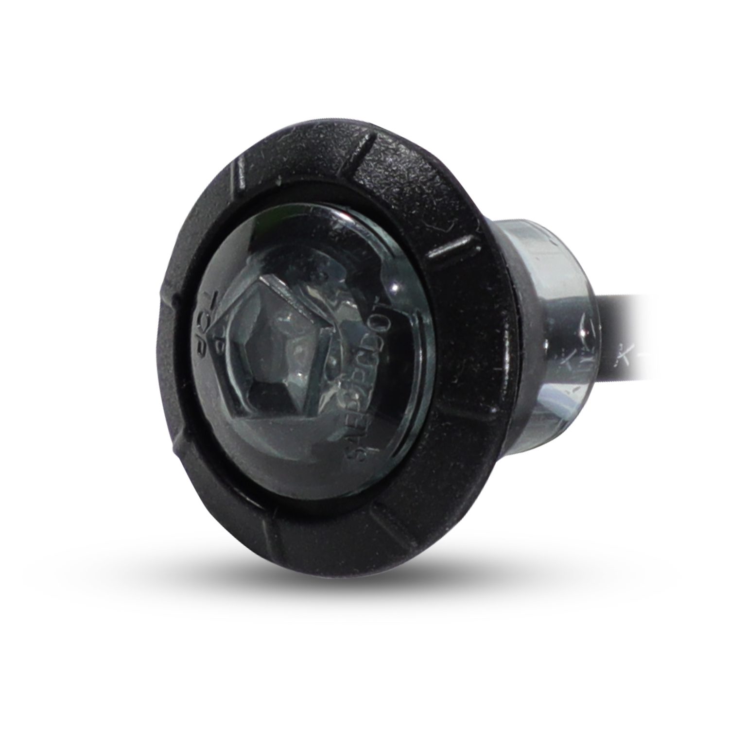 XT - Image 6